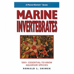 POCKET EXPERT MARINE INVERTEBRATES